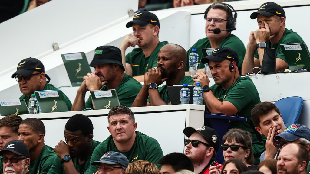 Springbok coaches